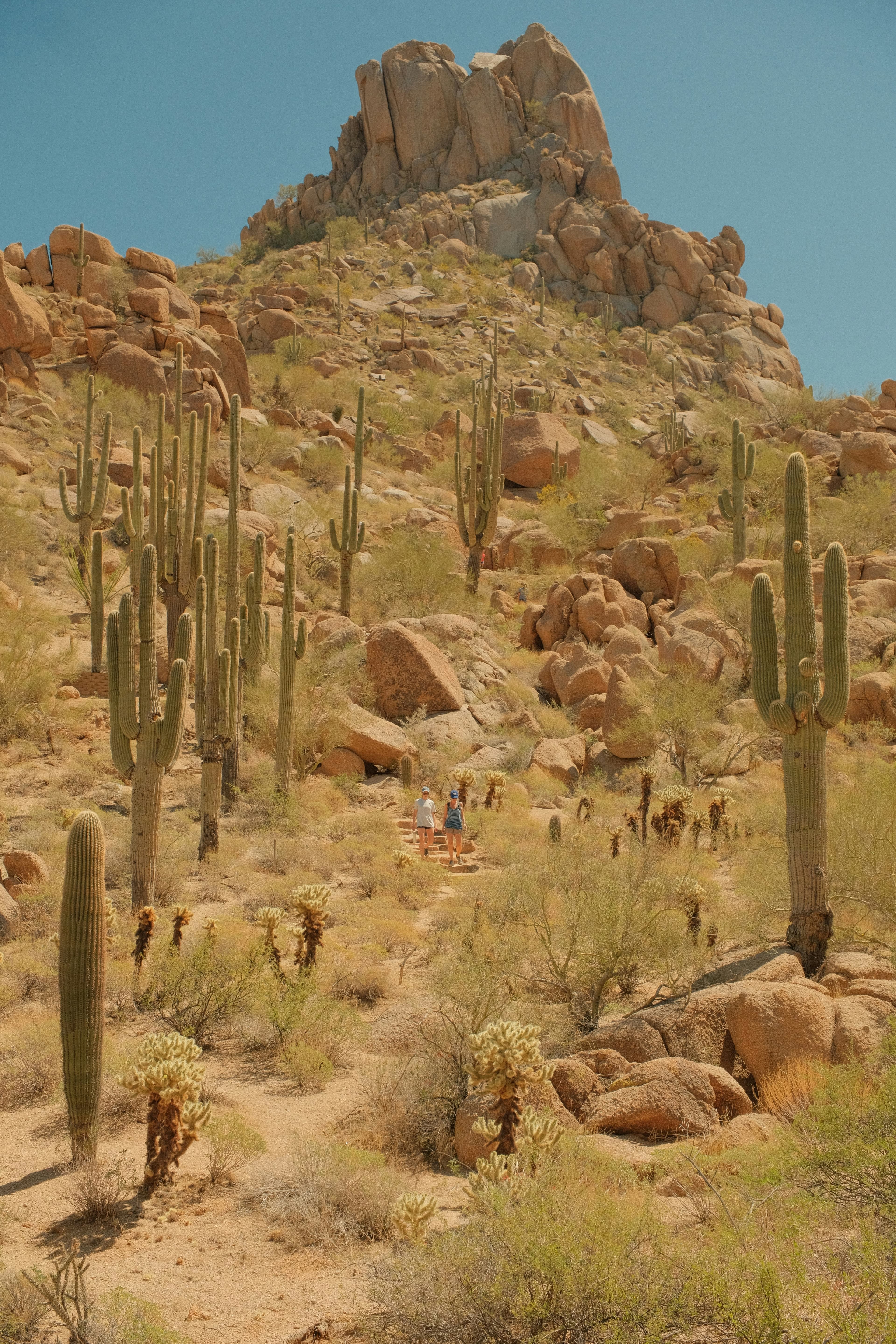 10 Questions to Ask Before Hiring a Luxury Realtor in Arizona